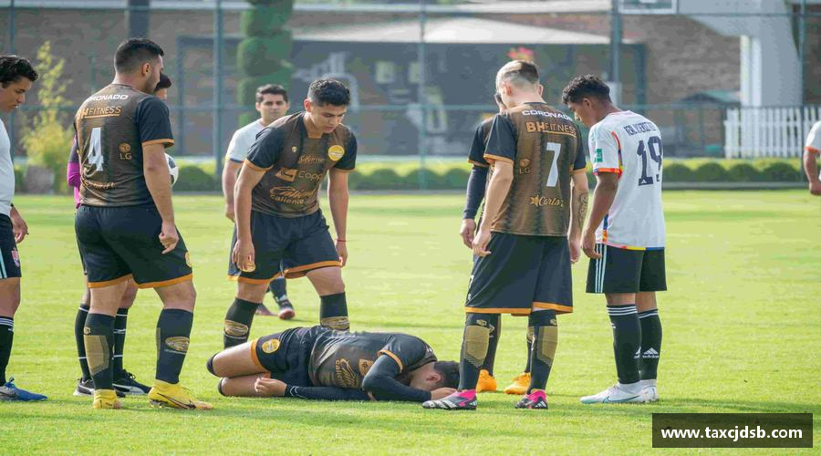 必一运动bsport体育热血奔跑，青春绽放